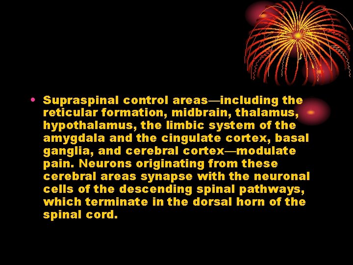  • Supraspinal control areas—including the reticular formation, midbrain, thalamus, hypothalamus, the limbic system