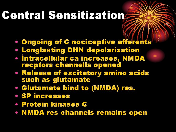 Central Sensitization • Ongoing of C nociceptive afferents • Longlasting DHN depolarization • İntracellular