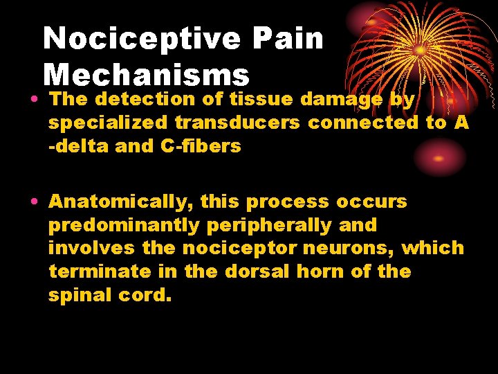Nociceptive Pain Mechanisms • The detection of tissue damage by specialized transducers connected to