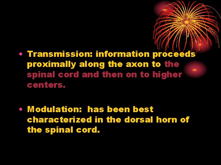  • Transmission: information proceeds proximally along the axon to the spinal cord and