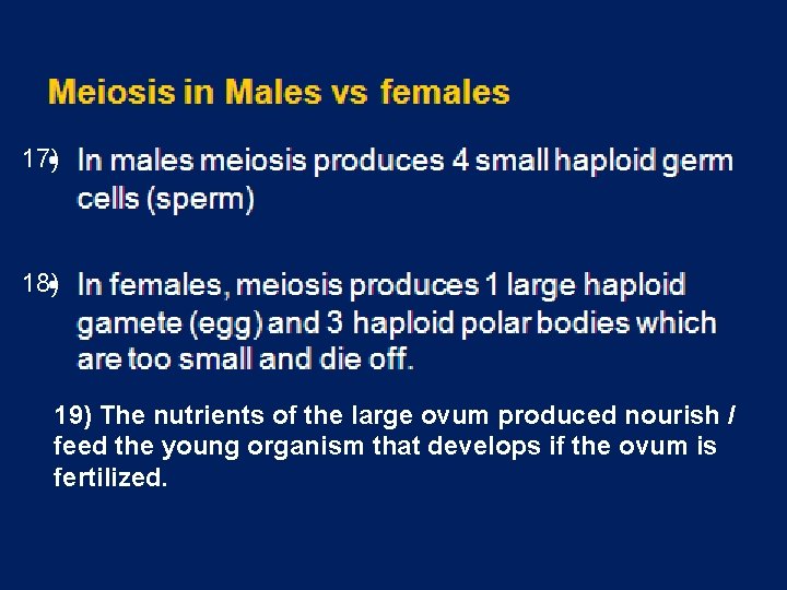 17) 18) 19) The nutrients of the large ovum produced nourish / feed the