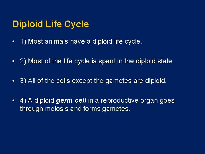 Diploid Life Cycle • 1) Most animals have a diploid life cycle. • 2)