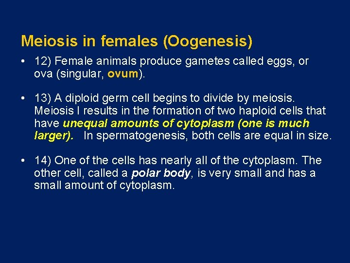 Meiosis in females (Oogenesis) • 12) Female animals produce gametes called eggs, or ova