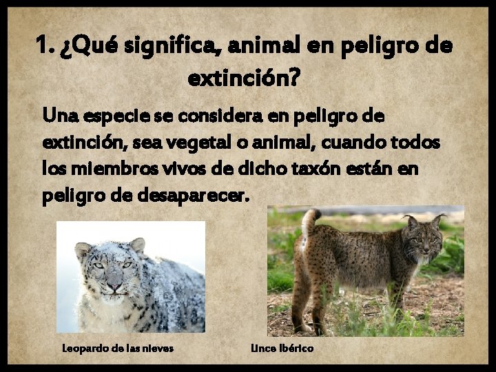 1. ¿Qué significa, animal en peligro de extinción? Una especie se considera en peligro