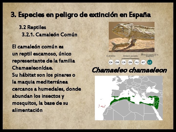 3. Especies en peligro de extinción en España 3. 2 Reptiles 3. 2. 1.