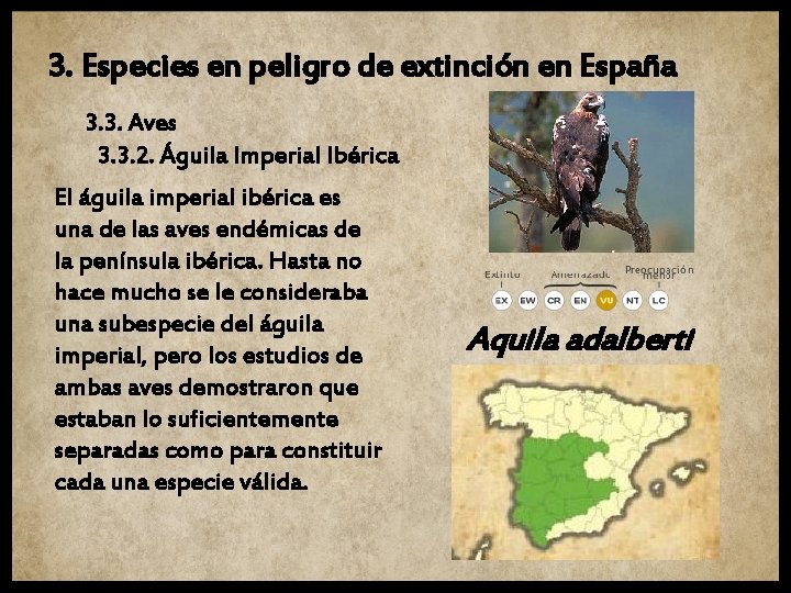 3. Especies en peligro de extinción en España 3. 3. Aves 3. 3. 2.