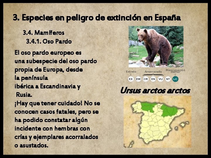 3. Especies en peligro de extinción en España 3. 4. Mamíferos 3. 4. 1.