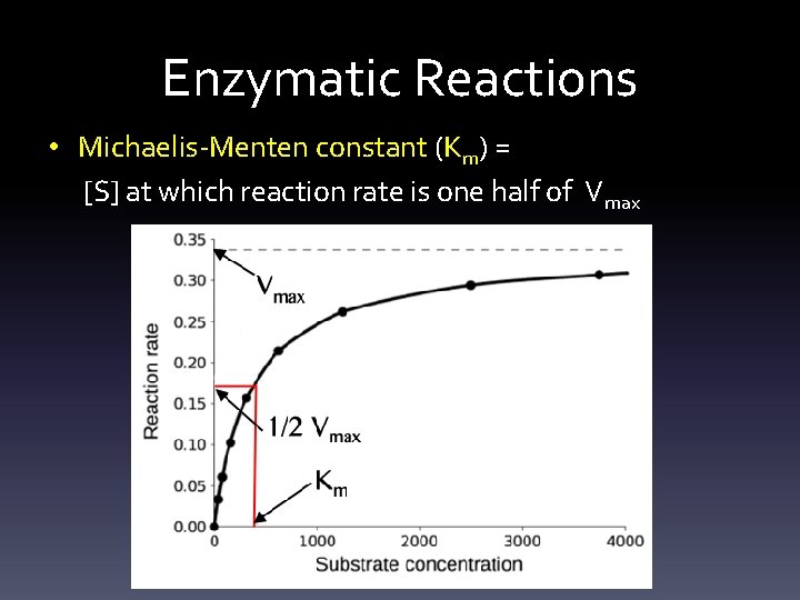Enzymatic Reactions • Michaelis-Menten constant (Km) = [S] at which reaction rate is one