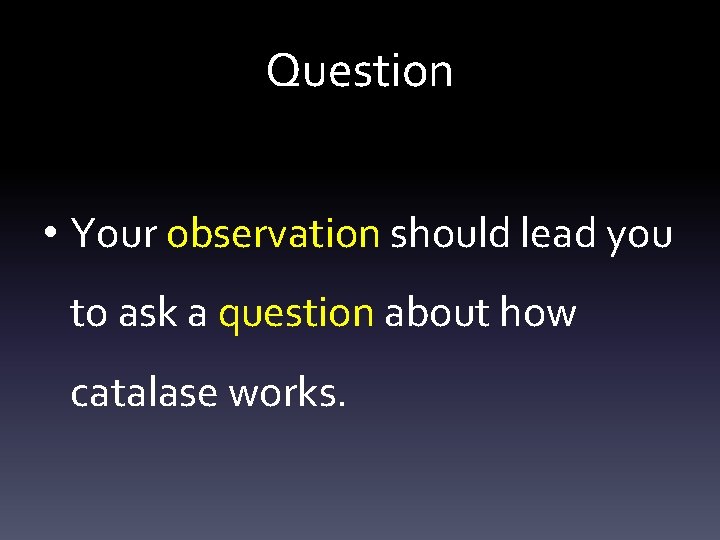 Question • Your observation should lead you to ask a question about how catalase