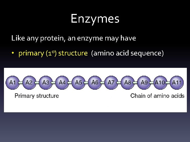 Enzymes Like any protein, an enzyme may have • primary (1 o) structure (amino