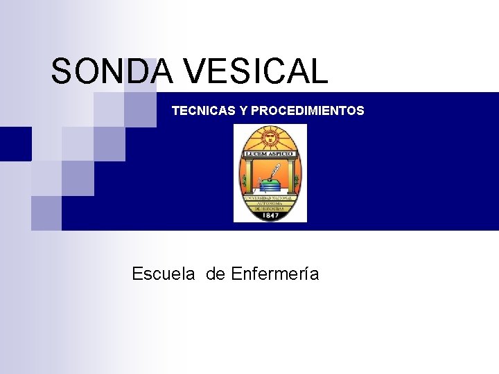 SONDA VESICAL TECNICAS Y PROCEDIMIENTOS Escuela de Enfermería 