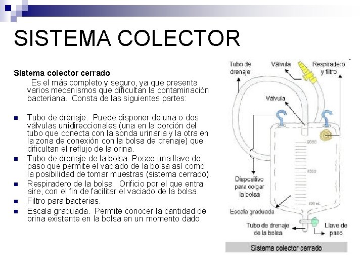 SISTEMA COLECTOR Sistema colector cerrado Es el más completo y seguro, ya que presenta