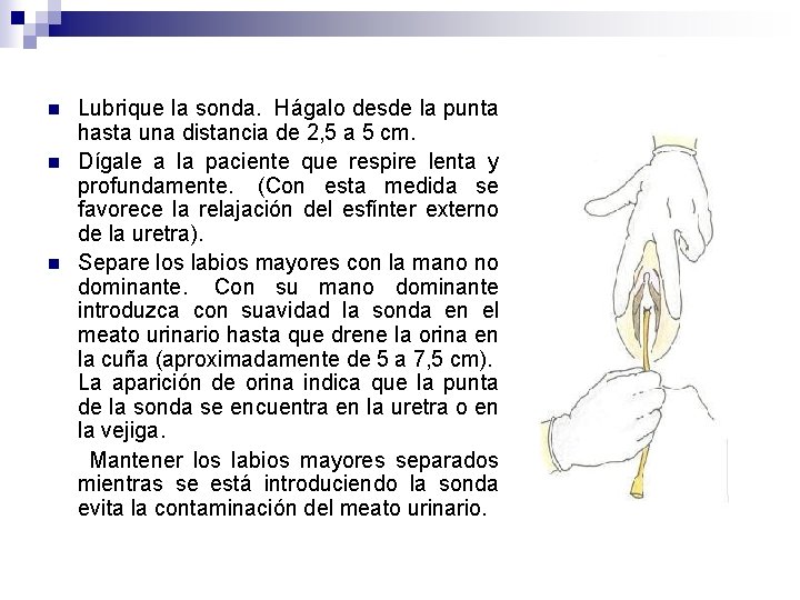 n n n Lubrique la sonda. Hágalo desde la punta hasta una distancia de