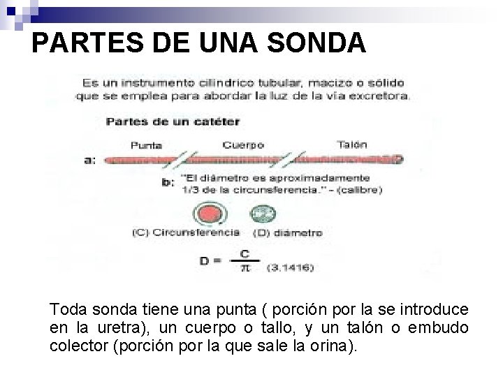 PARTES DE UNA SONDA Toda sonda tiene una punta ( porción por la se