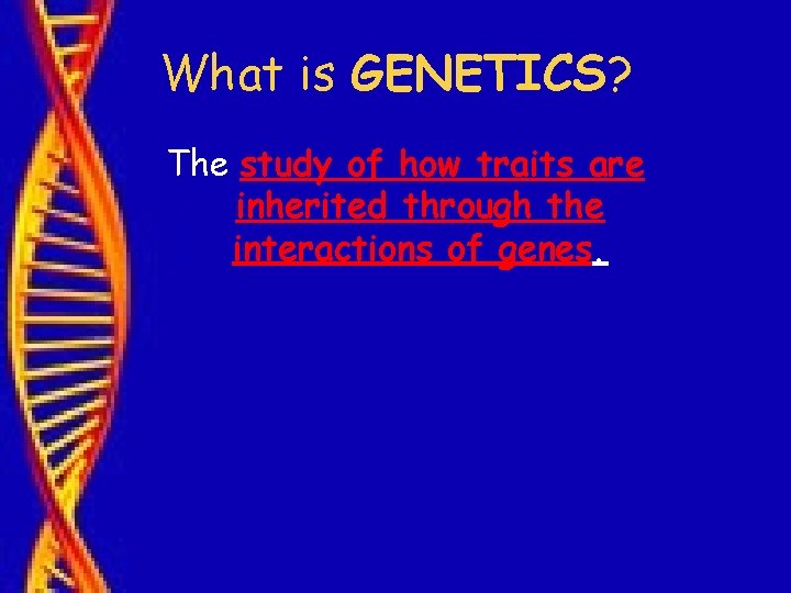What is GENETICS? The study of how traits are inherited through the interactions of