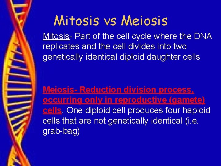Mitosis vs Meiosis Mitosis- Part of the cell cycle where the DNA replicates and