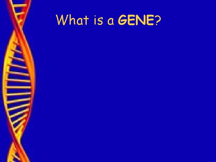 What is a GENE? 