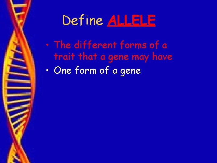 Define ALLELE • The different forms of a trait that a gene may have