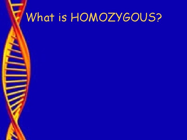 What is HOMOZYGOUS? 