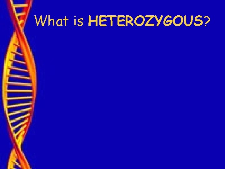What is HETEROZYGOUS? 