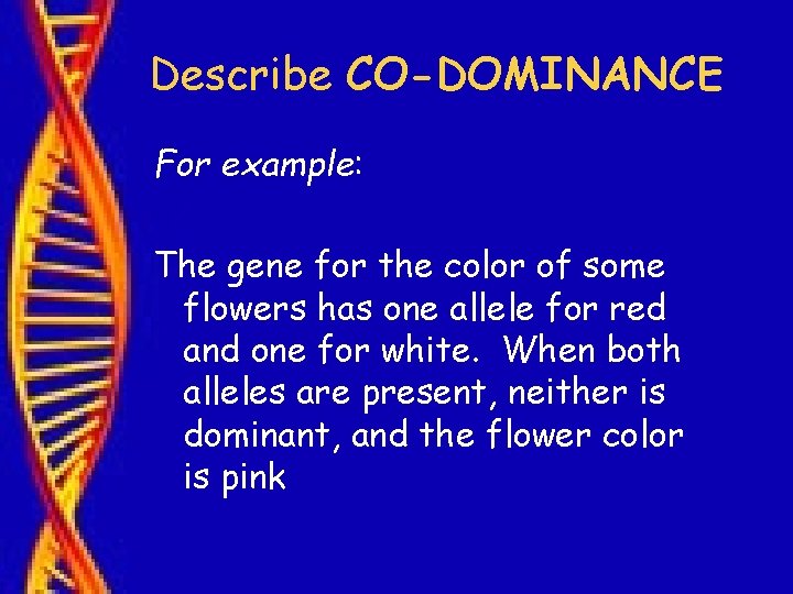 Describe CO-DOMINANCE For example: The gene for the color of some flowers has one