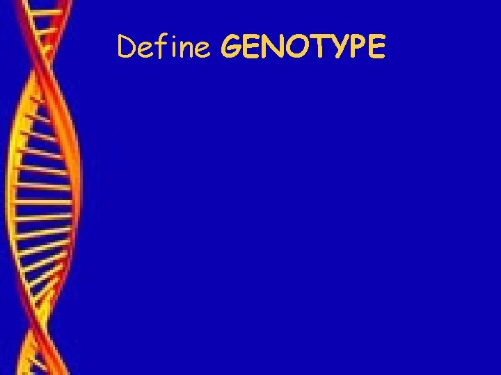 Define GENOTYPE 