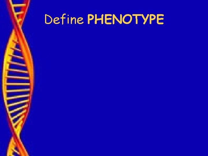 Define PHENOTYPE 