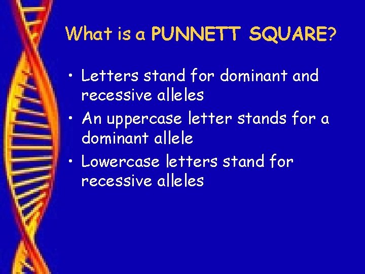What is a PUNNETT SQUARE? • Letters stand for dominant and recessive alleles •