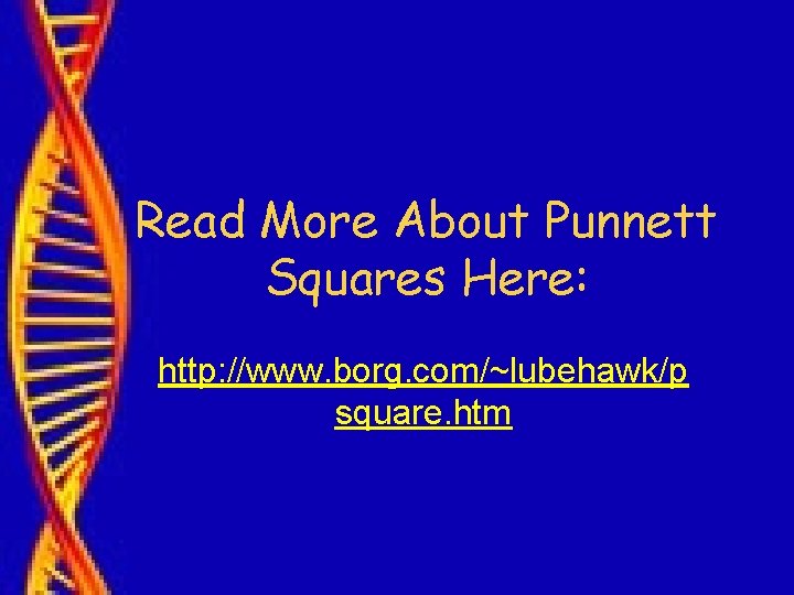 Read More About Punnett Squares Here: http: //www. borg. com/~lubehawk/p square. htm 