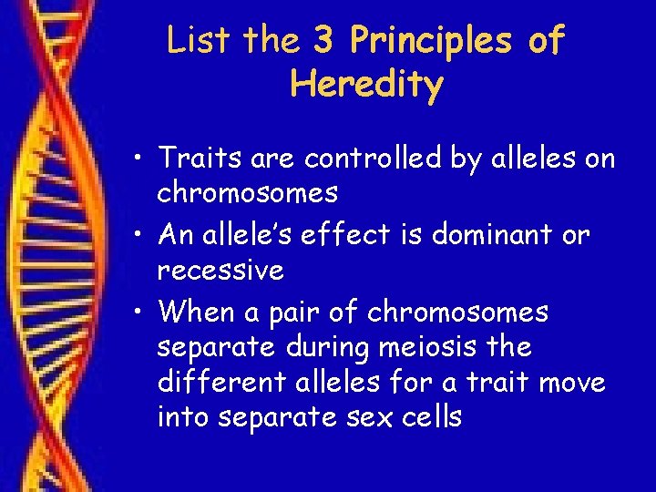 List the 3 Principles of Heredity • Traits are controlled by alleles on chromosomes
