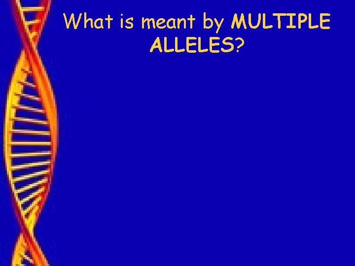 What is meant by MULTIPLE ALLELES? 