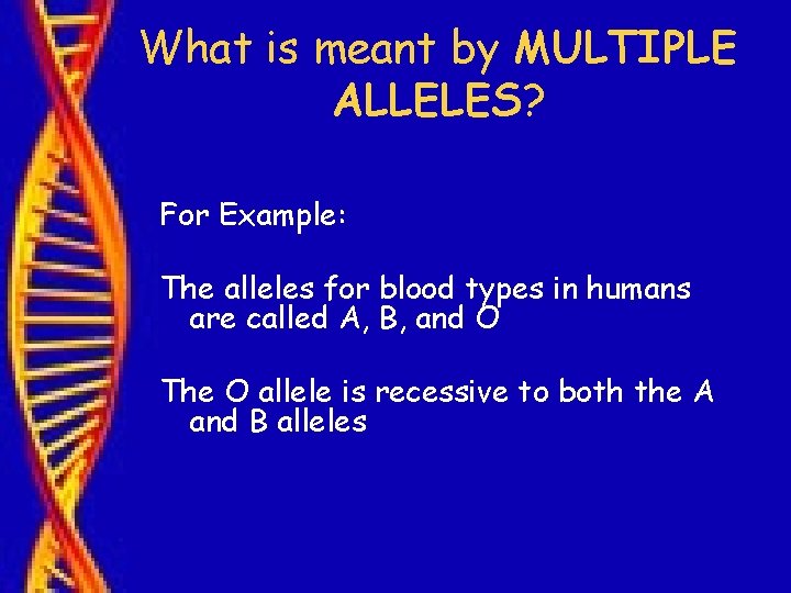 What is meant by MULTIPLE ALLELES? For Example: The alleles for blood types in