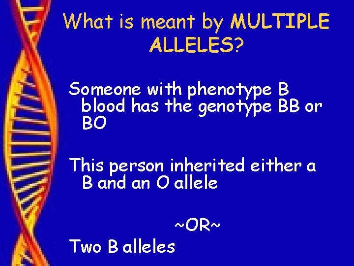 What is meant by MULTIPLE ALLELES? Someone with phenotype B blood has the genotype