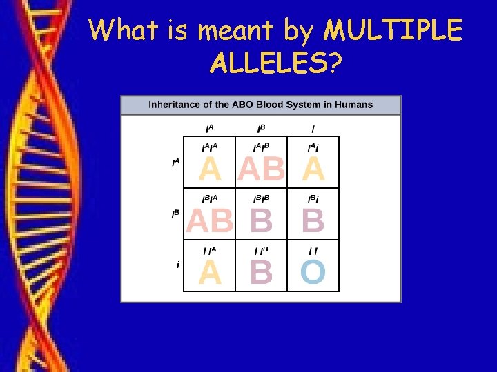 What is meant by MULTIPLE ALLELES? 