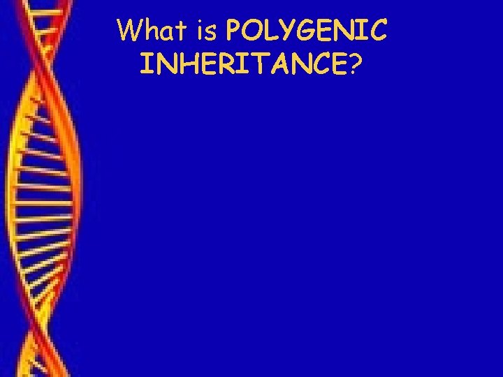 What is POLYGENIC INHERITANCE? 