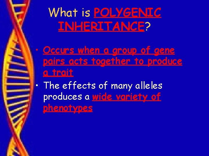 What is POLYGENIC INHERITANCE? • Occurs when a group of gene pairs acts together