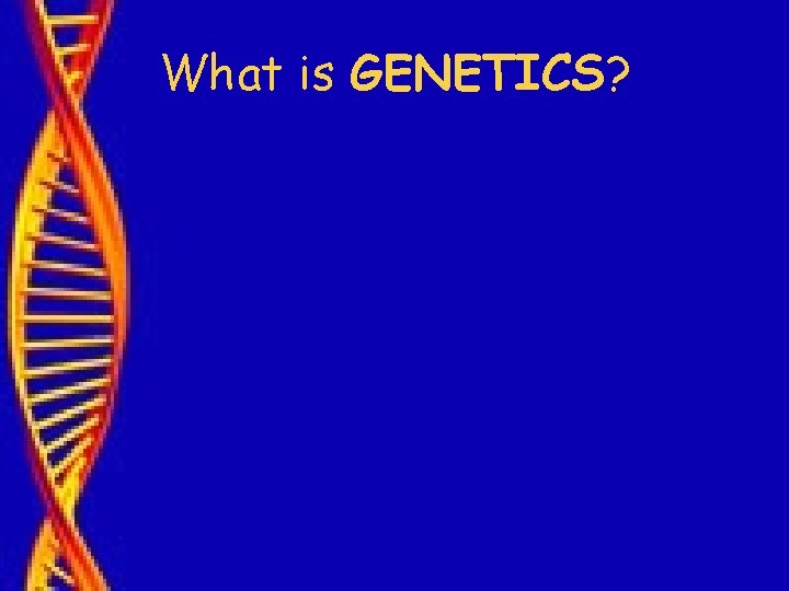 What is GENETICS? 