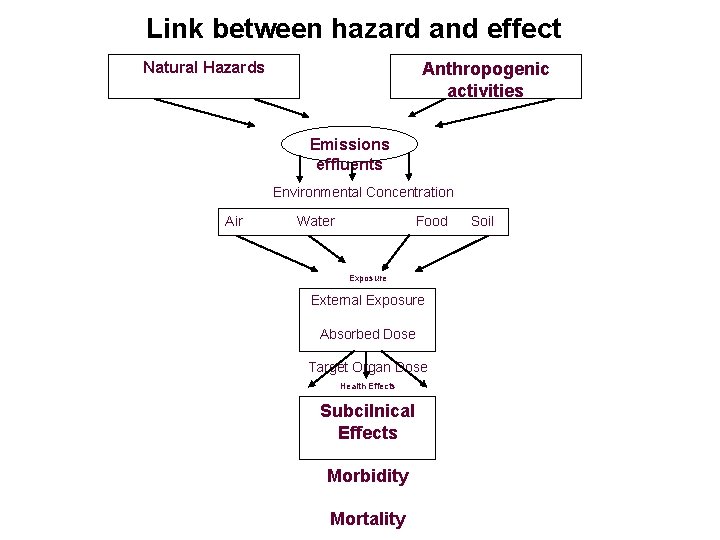 Link between hazard and effect Natural Hazards Anthropogenic activities Emissions effluents Environmental Concentration Air