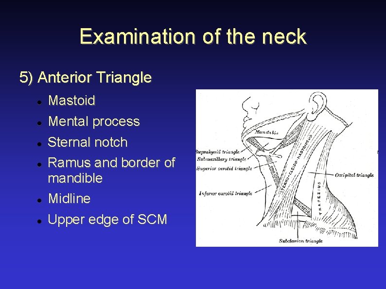 Examination of the neck 5) Anterior Triangle Mastoid Mental process Sternal notch Ramus and