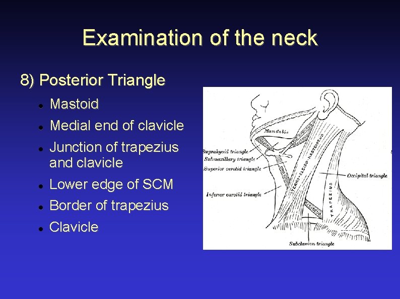 Examination of the neck 8) Posterior Triangle Mastoid Medial end of clavicle Junction of