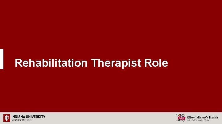 Rehabilitation Therapist Role 