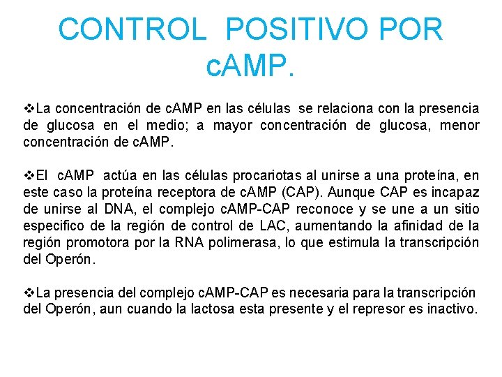 CONTROL POSITIVO POR c. AMP. v. La concentración de c. AMP en las células