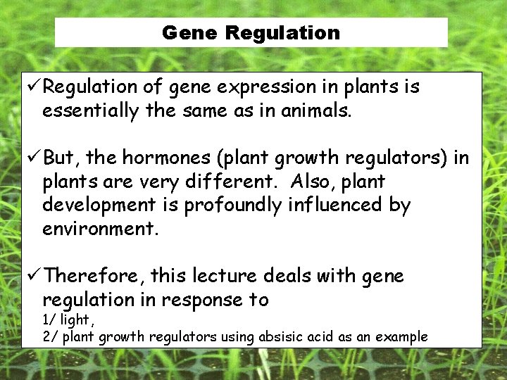 Gene Regulation Gene regulation and expression in plants