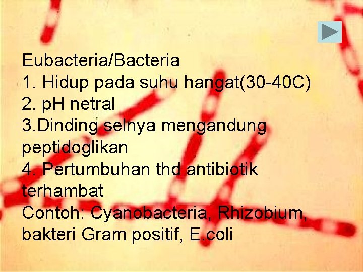 Eubacteria/Bacteria 1. Hidup pada suhu hangat(30 -40 C) 2. p. H netral 3. Dinding