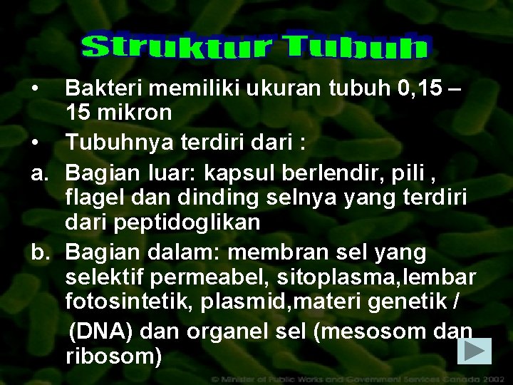  • Bakteri memiliki ukuran tubuh 0, 15 – 15 mikron • Tubuhnya terdiri