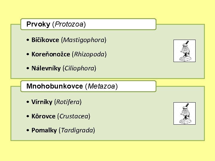 Prvoky (Protozoa) • Bičíkovce (Mastigophora) • Koreňonožce (Rhizopoda) • Nálevníky (Ciliophora) Mnohobunkovce (Metazoa) •