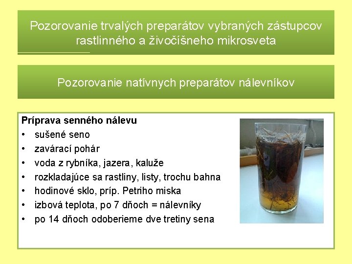 Pozorovanie trvalých preparátov vybraných zástupcov rastlinného a živočíšneho mikrosveta Pozorovanie natívnych preparátov nálevníkov Príprava