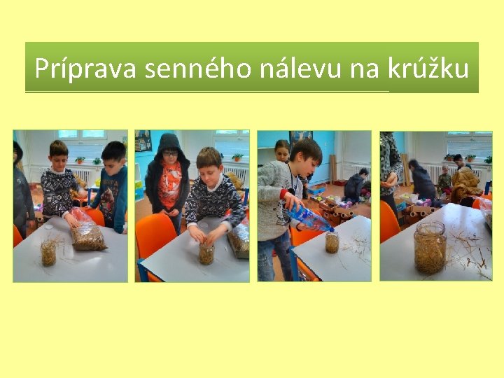 Príprava senného nálevu na krúžku 