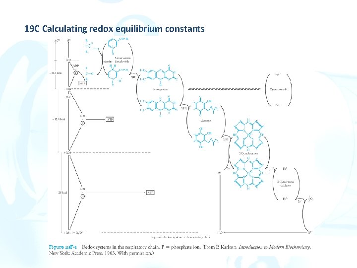 19 C Calculating redox equilibrium constants 