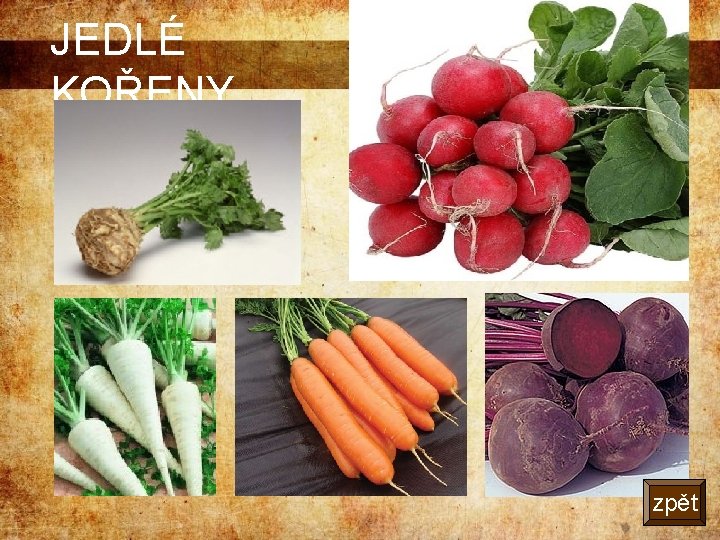 JEDLÉ KOŘENY zpět 